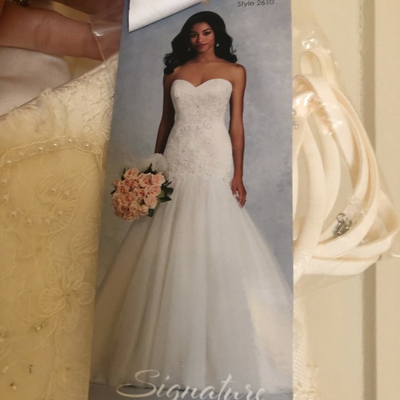 Alfred Angelo Wedding Gown size 6 - Picture 11 of 15